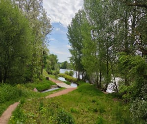 Entre la LOIRE et le canal de ROANNE. - Roanne - 15