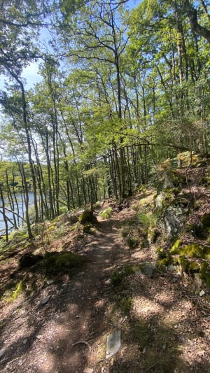 Balade au Lac de Guerlédan - Caurel - 5