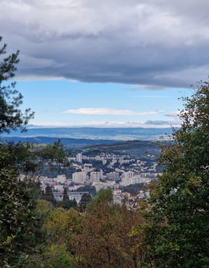Balade jusqu'à la Madone de Rochetaillée - Saint-Étienne - 16