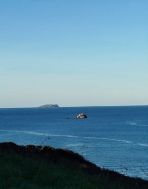 En longeant la côte de Port l'épine à Port blanc - Trélévern - 11