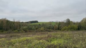 Mareuil-sur-Ourcq, balade au bord de l'eau - Mareuil-sur-Ourcq - 4