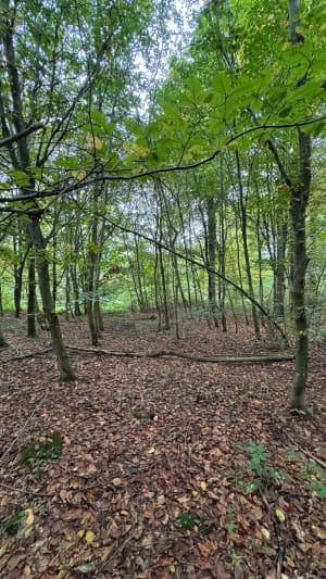 Mareuil-sur-Ourcq, balade au bord de l'eau - Mareuil-sur-Ourcq - 5