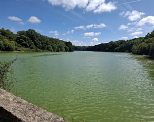 Balade au bord du Loch - Brech - 15