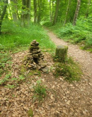 Randonnée au départ de Saint Hubert et forêt de Villiers - Saint-Hubert - 5