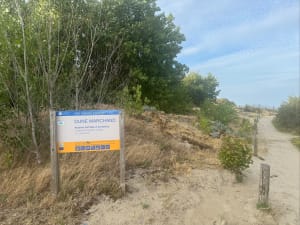Randonnée au coeur des dunes marchande - alane - 6