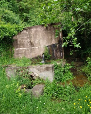 Rando à Cervione vers cascade d'Uccelleline via Santa Maria - Cervione - 8