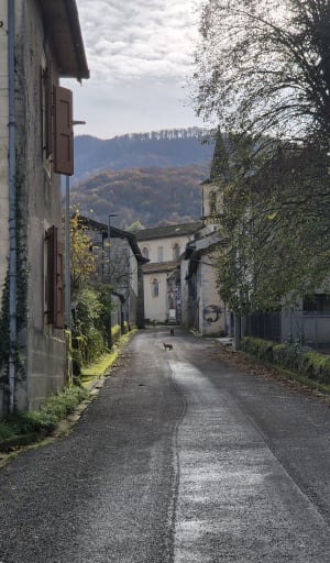 Saleich - Urau - Saleich - Saleich - 6