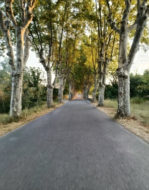 Les deux cols via Forcalquier depuis Manosque - Alain  - 4