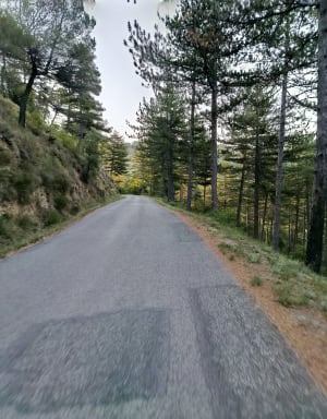 Les deux cols via Forcalquier depuis Manosque - Alain  - 6