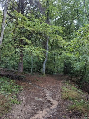 Pierre-Vieille - Monnetier-Mornex - 9