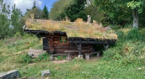 Tout autour du Lac des Perches depuis Rouge Gazon - Anthony - 10