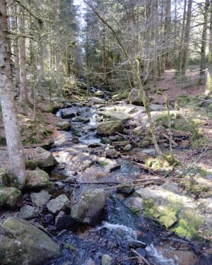Le tour des cascades de Tendon - Le Tholy - 40