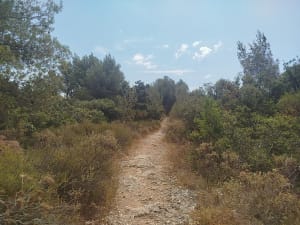 Eyguières et le cirque de Borme - Eyguières - 3