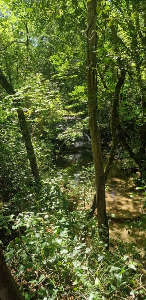 RAVIN DES ENCANAUX ET SES GROTTES - Andrea - 15