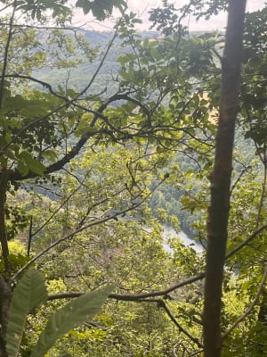 Vinzelle chemin de croix - Conques-en-Rouergue - 3