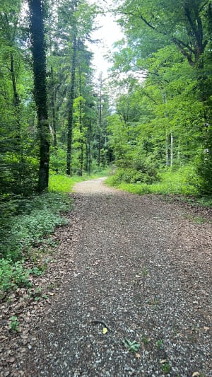 Le chemin autour des ruisseaux du Dahu Ambré - Osselle-Routelle - 7