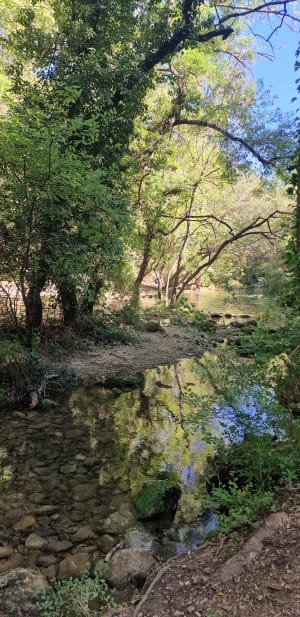 RAVIN DES ENCANAUX ET SES GROTTES - Andrea - 18