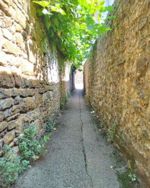 Saint-Romain-au-Mont-d'Or : virée pittoresque au paradis ! - Saint-Romain-au-Mont-d'Or - 5