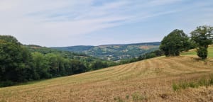 Entre lac et château à Rieu Montagné - Nages - 3