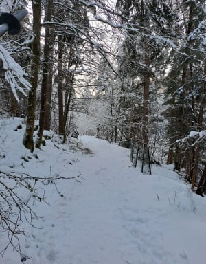 Découverte de la Bienne par Doye Gabet - Hauts-de-Bienne - 33