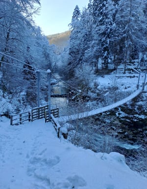 Découverte de la Bienne par Doye Gabet - Hauts-de-Bienne - 34