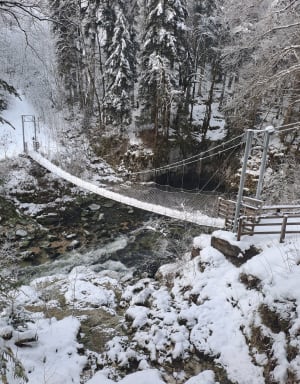 Découverte de la Bienne par Doye Gabet - Hauts-de-Bienne - 35