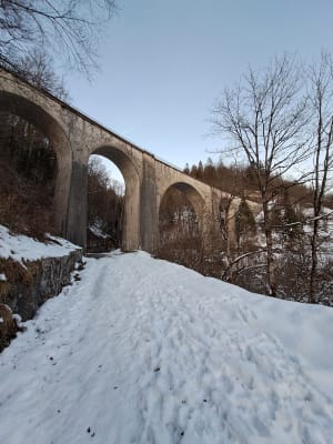 Découverte de la Bienne par Doye Gabet - Hauts-de-Bienne - 38