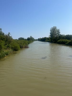 La Tamarrissière par Les Verdisses - Vias - 3