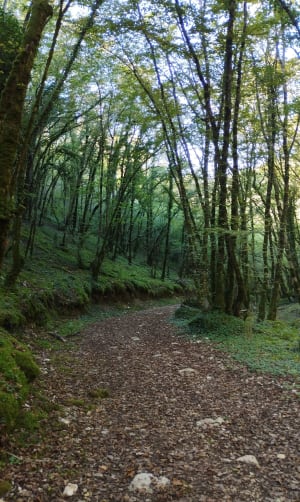 Découverte du causse corrézien et espèces rares - Chasteaux - 26