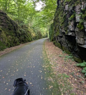 Wandeling in de Gorges de Crosery - Thiéfosse - 18