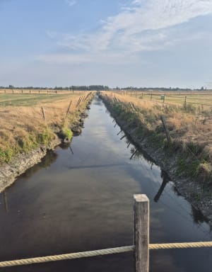 Balade dans le marais de la Vacherie, de Champagné-les-Marais - jerome - 2