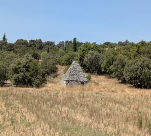 Van Bonnieux naar de priorij van Saint-Symphorien - Bonnieux - 5