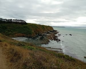 Sur le GR au départ de Dahouet - Pléneuf-Val-André - 15