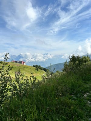 Randonnée familiale à la Plagne et caresses d'animaux - La Plagne - 30