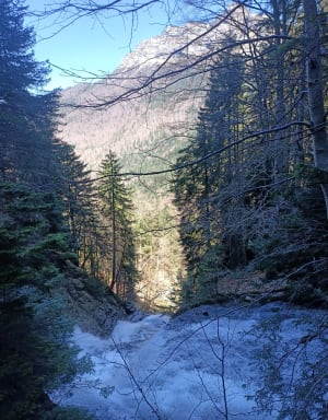 Cirque de Saint Même - Saint-Pierre-d'Entremont - 37