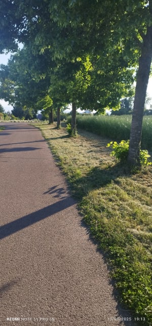 Sur la colline d'Oberhausbergenhill - Oberhausbergen - 9