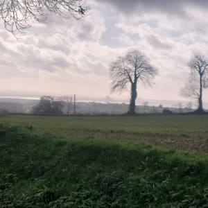 Rando autour de sartilly - samuel - 2