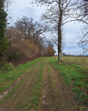 Des monts et bruyères autour de Proussy - Proussy - 2
