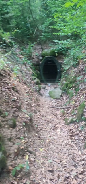 Sentier minier de Sentheim - Sentheim - 4