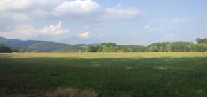 Sentier minier de Sentheim - Sentheim - 5