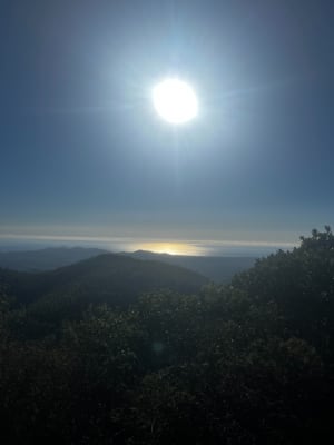 Zachte wandeling in de regio Aigre, in Fréjus - Fréjus - 4