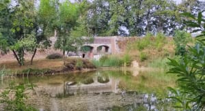 Étang du Puits et petit paradis pour les sorties en famille - Cerdon - 15