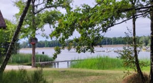 Étang du Puits et petit paradis pour les sorties en famille - Cerdon - 16