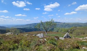 Puy de Sancy par le Grand Capucin et les cascades - Mont-Dore - 50