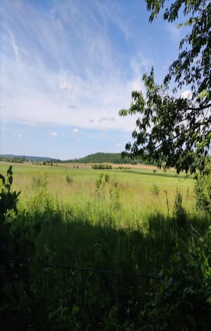 Sur le GR® 11 à Milly-la-Forêt - Milly-la-Forêt - 3