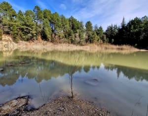 Le Lac Blanc Carsan - Carsan - 6