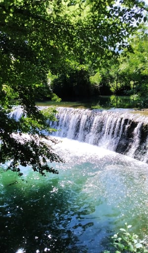 Petite promenade le long du Cernon - Saint-Georges-de-Luzençon - 3