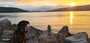 3-daagse tour op het meer van Sainte Croix in bivak - Les Salles-sur-Verdon - 8