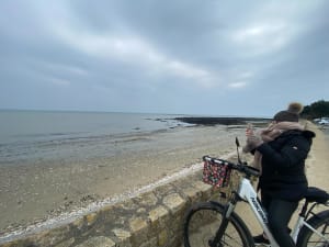 De kervoyal à Pénerf - Damgan - 7