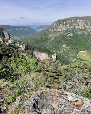 Corniches van de Causse Méjean en reis naar het hart van de kliffen - Le Rozier - 21